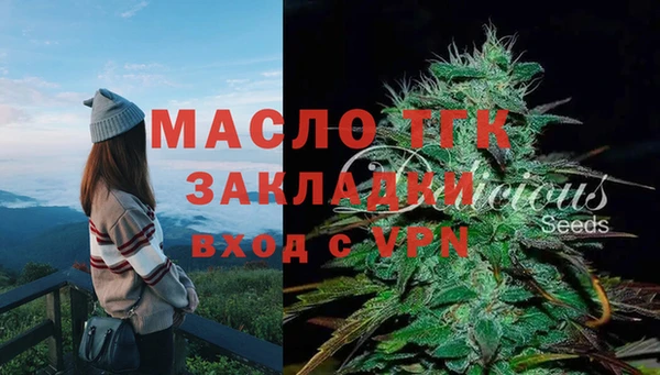 крисы Аркадак