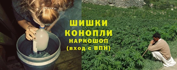 крисы Аркадак