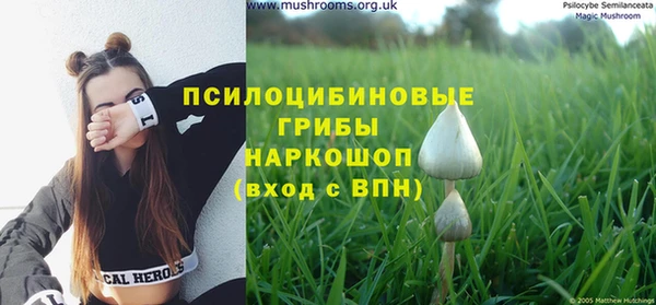крисы Аркадак