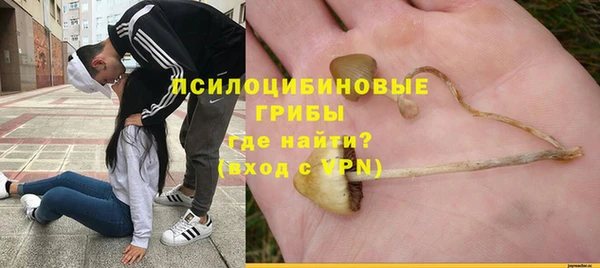 крисы Аркадак
